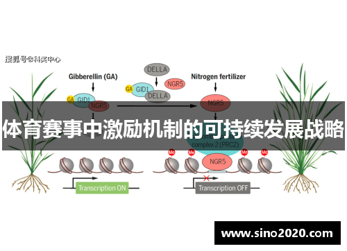 体育赛事中激励机制的可持续发展战略